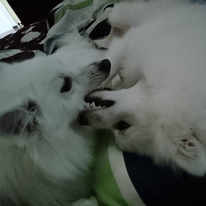 7d0430d0 f0c9 4759 8985 7424720fa5a7 1554338761725