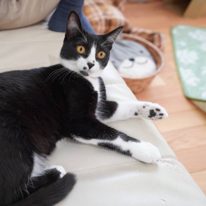 7d0436f0 5699 4d65 8458 5ef4d4118830 1589499923453