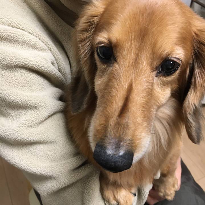 7d045221 799f 4859 8c4c 20c44a577a35 1609336698085