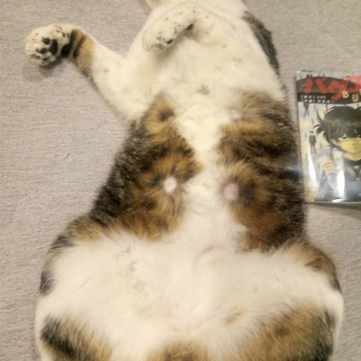 7d0465f8 933a 48b5 aaca 66ebe7cfb8bd 1765104807293