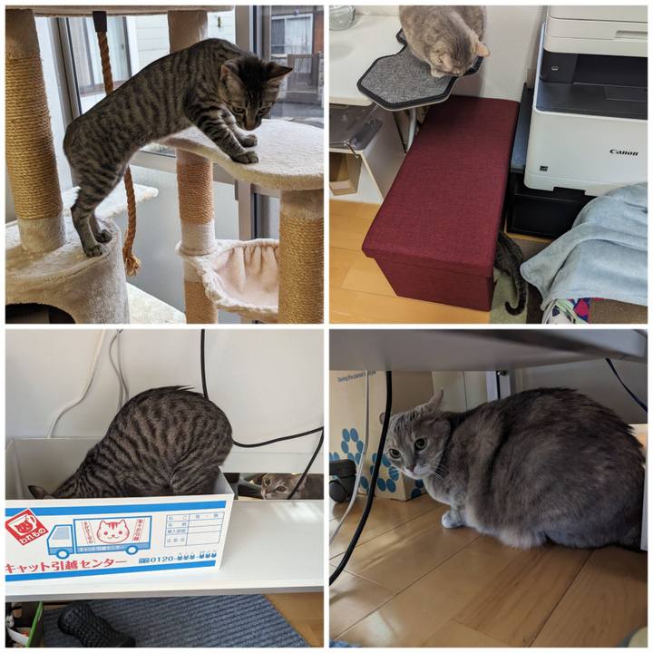 7d0471e4 ea88 4bcf 835c 5089956cce46 1704946023816