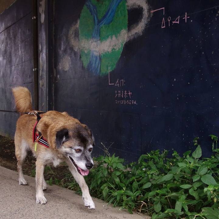 7d04b67e f6e7 4479 ae28 ce1876fd36af 1535418006245