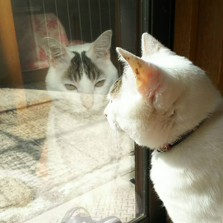 7d04d12a 3b36 4aba b5e8 973aea150fa6 1518265786015