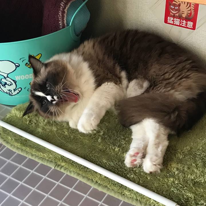 7d04d88e 7030 46b1 9fd0 6fc705b694d4 1514185024488