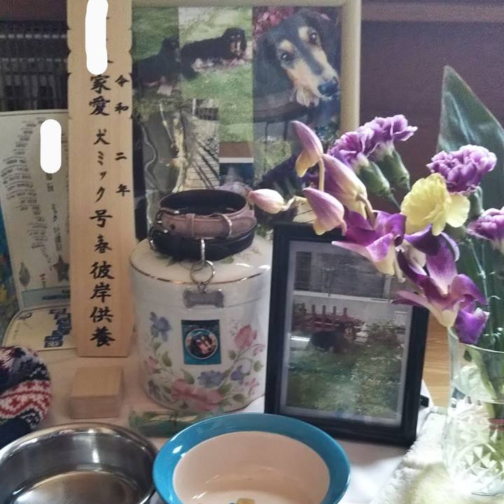 7d04ead1 b8d6 41e2 9d90 db968194cfe6 1584685819450