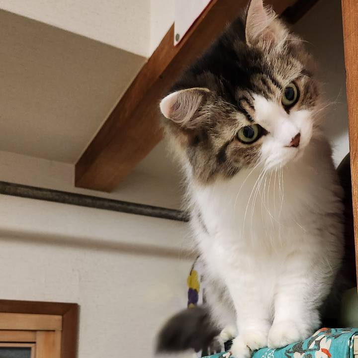 7d04f320 3f17 436e 9f0e 8f4599c028b2 1700824408652