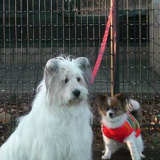 7d0507b2 0bef 4d24 9b79 c8ba52fc0022 1516337329531