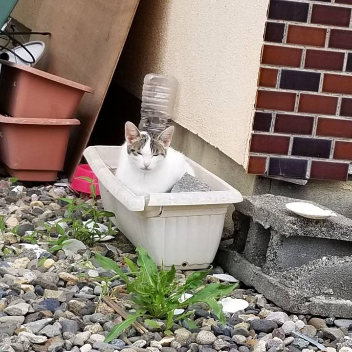 7d051385 b7c6 43a7 8788 04bcd8df7a83 1563269730741