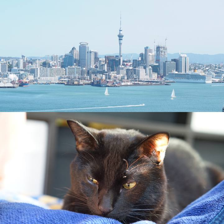 7d053d00 2fe8 473c ac1b b1f3667188ce 1551796416292