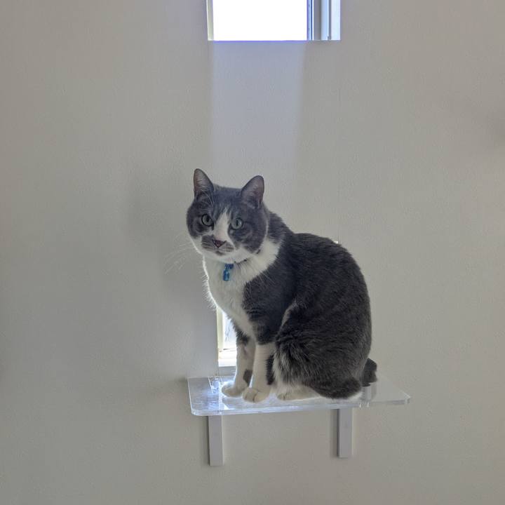 7d055580 85f0 48f6 83ee af8e9679db75 1772935590072