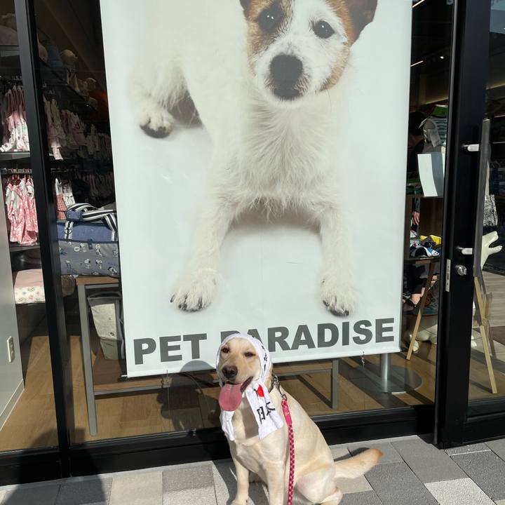 7d0558c2 6fcf 4bc5 a042 89133436c787 1651065786453