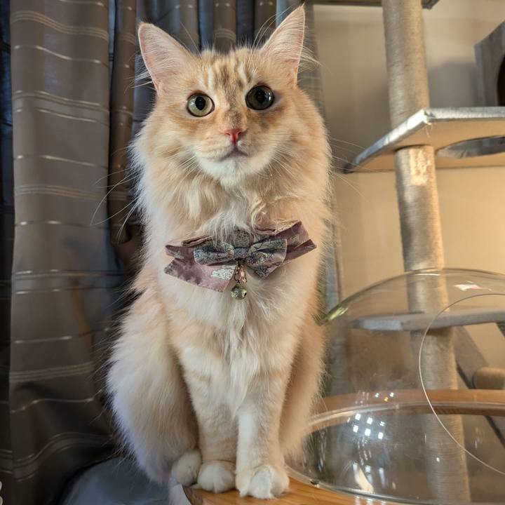 7d055fbc 2bca 4a11 a2f0 e0cc88c6dfeb 1726524477642