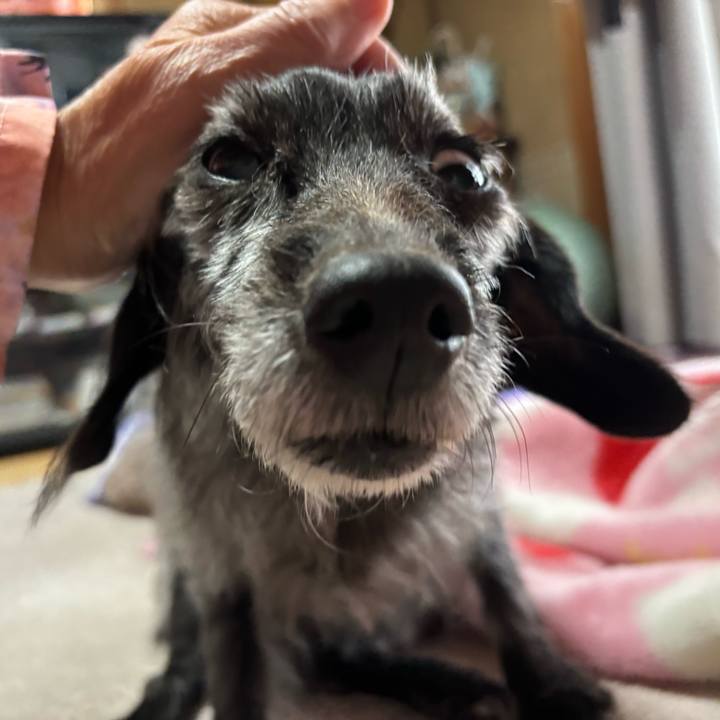 7d0568da 91a3 4a77 91e9 714ee4c9644d 1764200328215