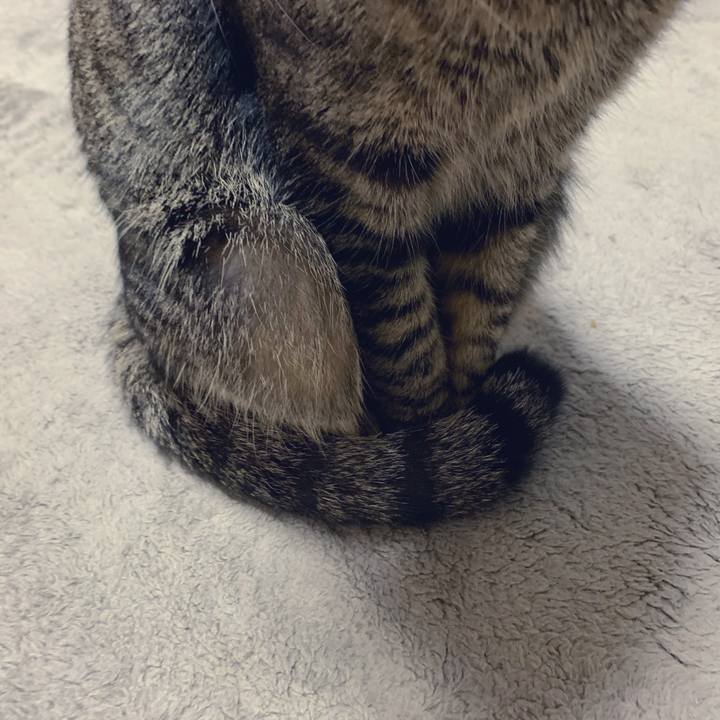 7d05878b 7913 40ee a0c2 38fda2b0f5a7 1548944913948