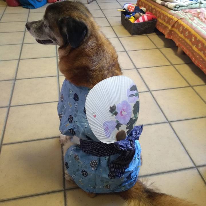 7d0594c5 12cc 4a69 9aa8 1b79567ea972 1565065114772