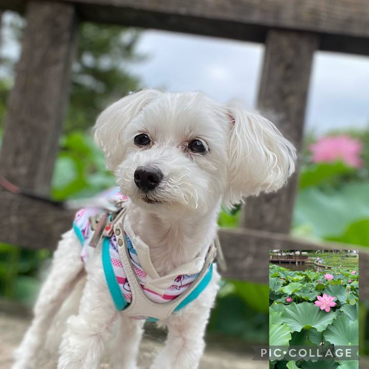 7d05a22d 2d13 411b b0d0 96d08e053915 1689409542960