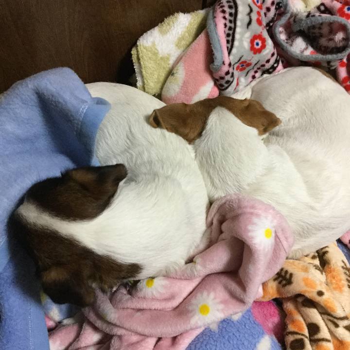 7d05a973 07fb 456f 87c6 5ccb4553cc28 1548885807005