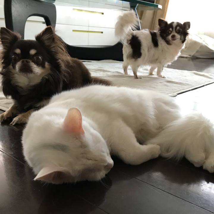 7d05a9ee 6548 4b68 81ae 67118787eda0 1519013310424