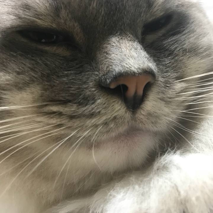 7d05bc2f db02 494c becf ccb6143174ca 1511853808213