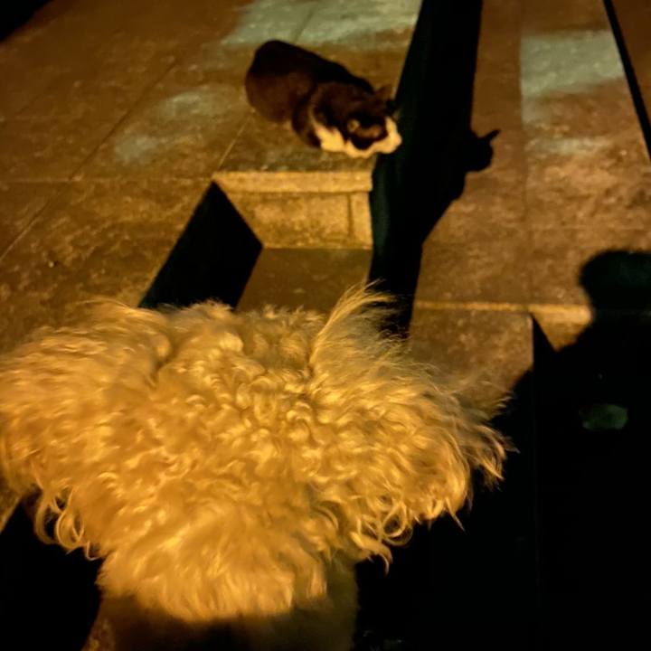 7d05f29b cce1 4853 9b7b 96d7649f7ec6 1597152901847