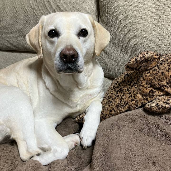 7d05f778 dbf9 46b0 b33e cb797af1c9e3 1674253358145