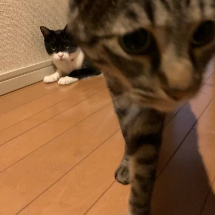 7d06324e e790 40fe b702 bdd7aa54132b 1622037367815