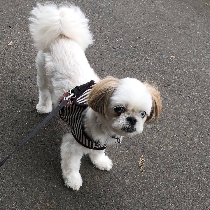 7d066196 4e6b 43cc 9c36 c3a76b8819e7 1534046589295