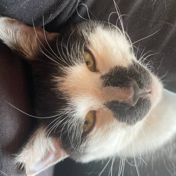 7d06c112 ce67 4248 84a6 dcb2e2bc3e6b 1768569894351