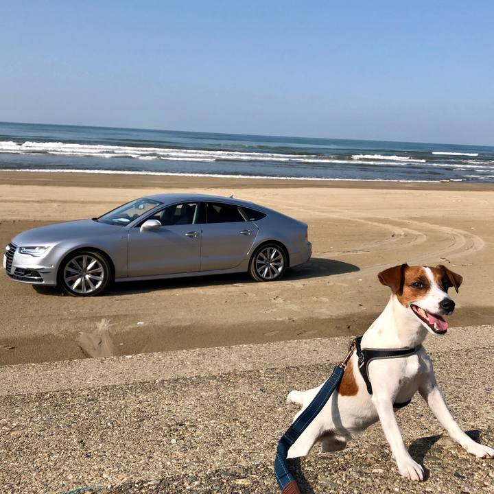 7d0712af d564 493d a9e5 04e3b5a07e41 1605617561947