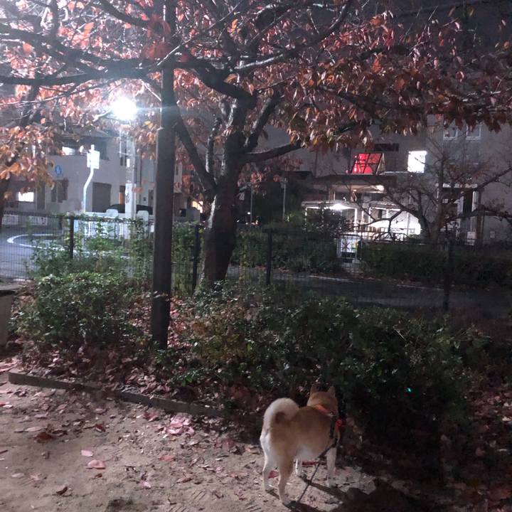 7d072b08 5290 4702 9f62 1002549d816c 1607524093579