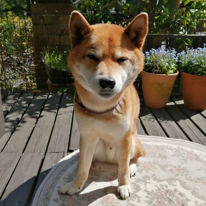 7d076448 c909 4485 802d 61ee82524276 1587799959092