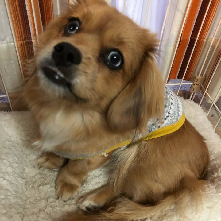 7d07d829 09fc 48cb a830 fb9a044fcefe 1513892521356