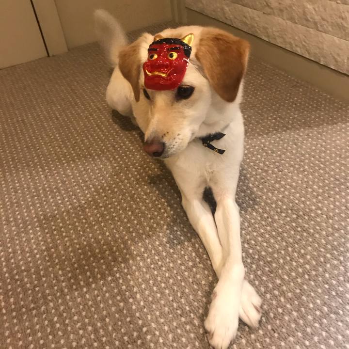 7d0806a8 fd4d 49f8 925b 9177f4d3fad2 1580740702140