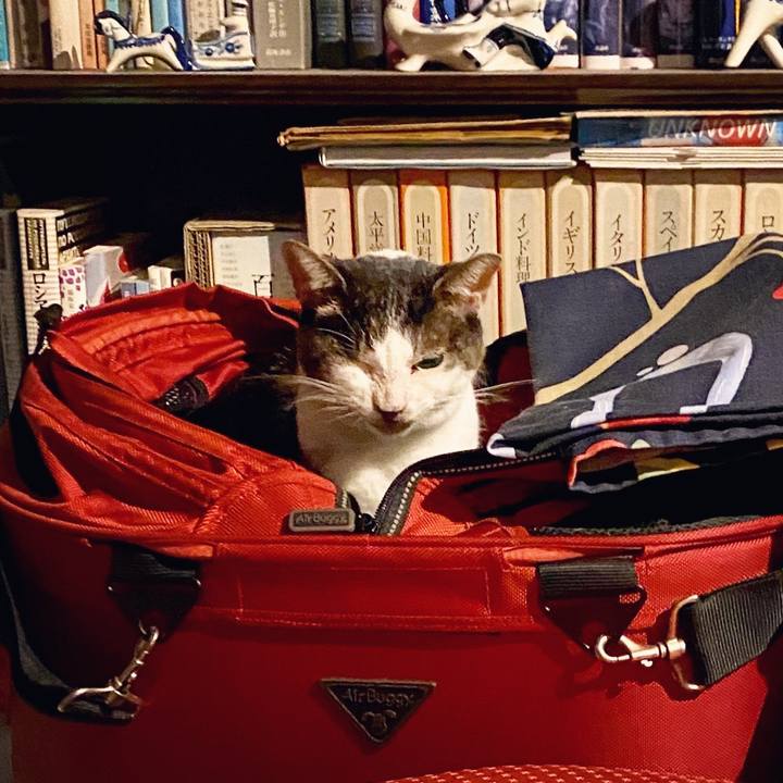 7d08234f f139 434a a9a3 8859376b483b 1599311426114