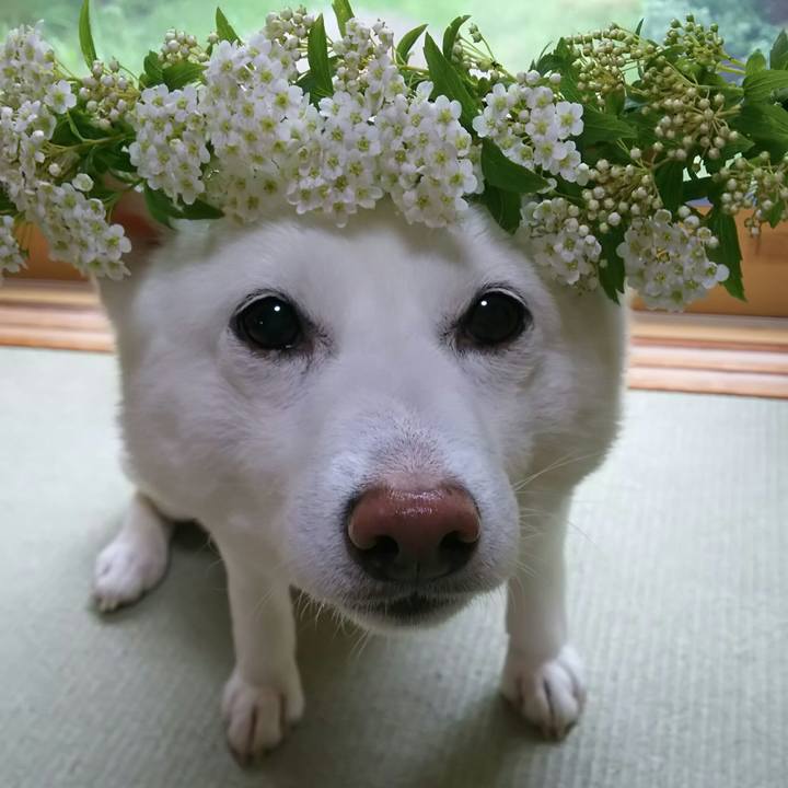 7d082c08 ce3b 4c02 bf80 0827588333ac 1588734640024