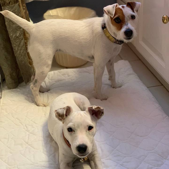 7d085d41 c7c0 4d07 8156 3c1f712a3b94 1542339400503