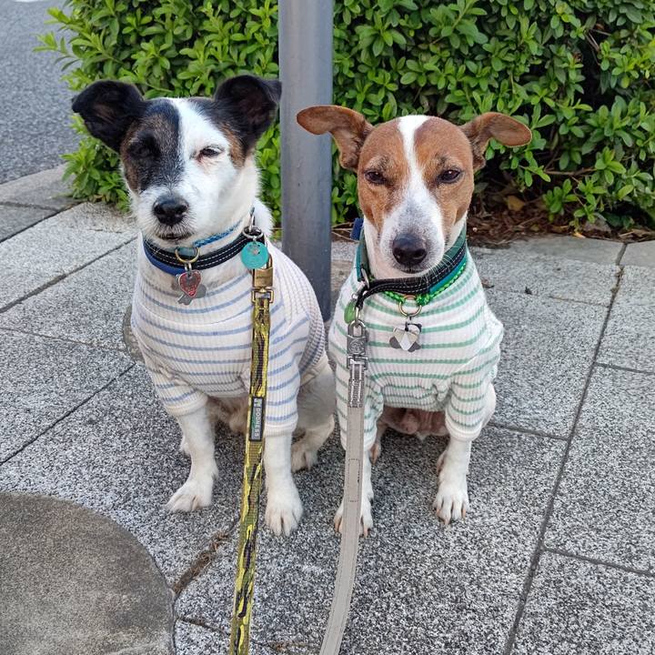 7d0861b7 4d27 47b4 8e18 a7eb8bf5156c 1698012843882