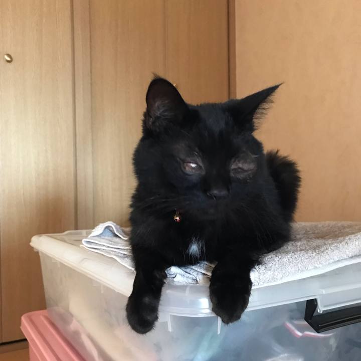 7d0868de 1dce 4832 a258 7603e74174a1 1566872125455