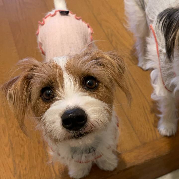 7d08b299 c7af 497b b5f0 19ee3f343b82 1762933141647