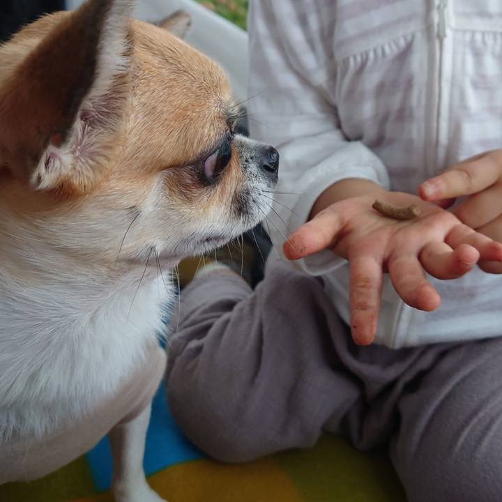 7d08e12c 63d7 430c 88bc ebdeea4742ff 1632559868378