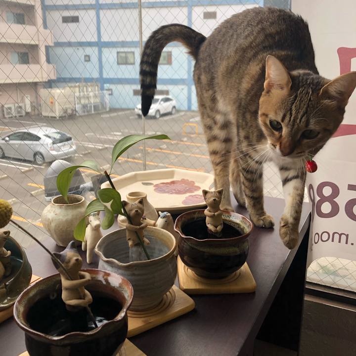 7d08e2cc f1b0 483f bf04 008ce1fb5303 1612585937587