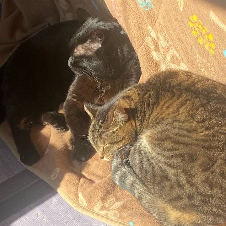 7d094943 094b 41f9 8f39 4a88dcd7d9ba 1674963312551