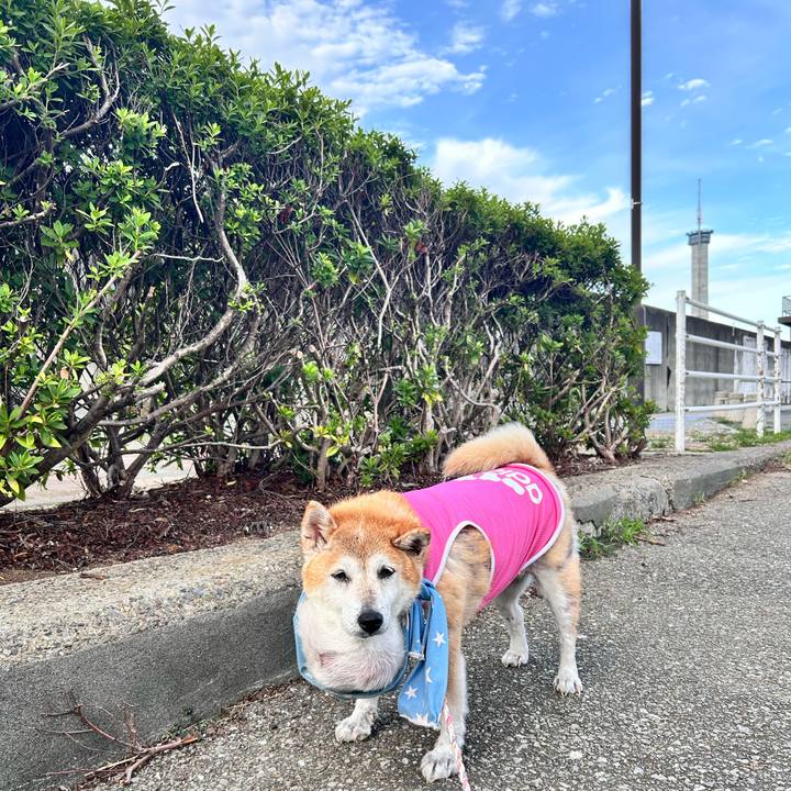 7d097e68 425e 413d 967a a65f3290a8ff 1760772491584