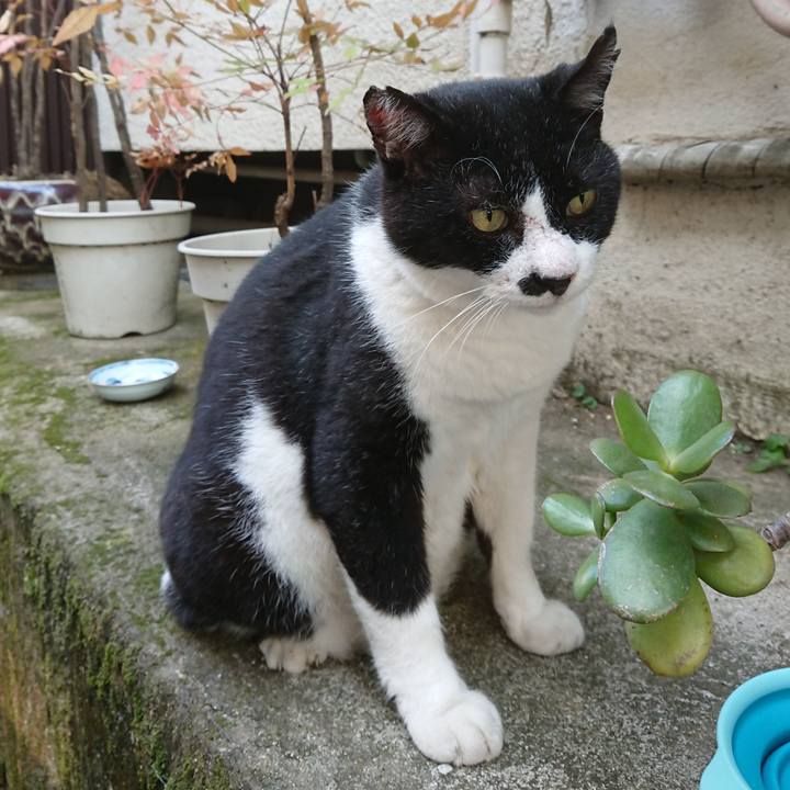 7d09c7c1 8aff 43cb 835a 494c32079074 1597824612501