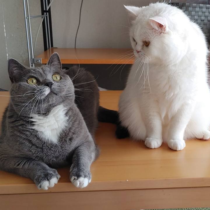 7d09d05b f32e 4782 9aab c93c25ebcd11 1645447703182