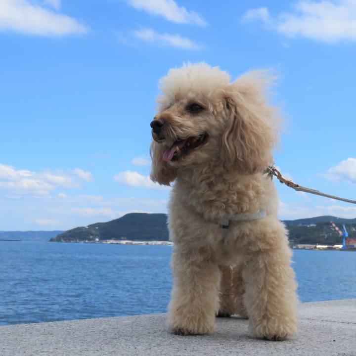 7d0a25a0 ae9f 4578 a7a5 f1827a4282e7 1633849548159