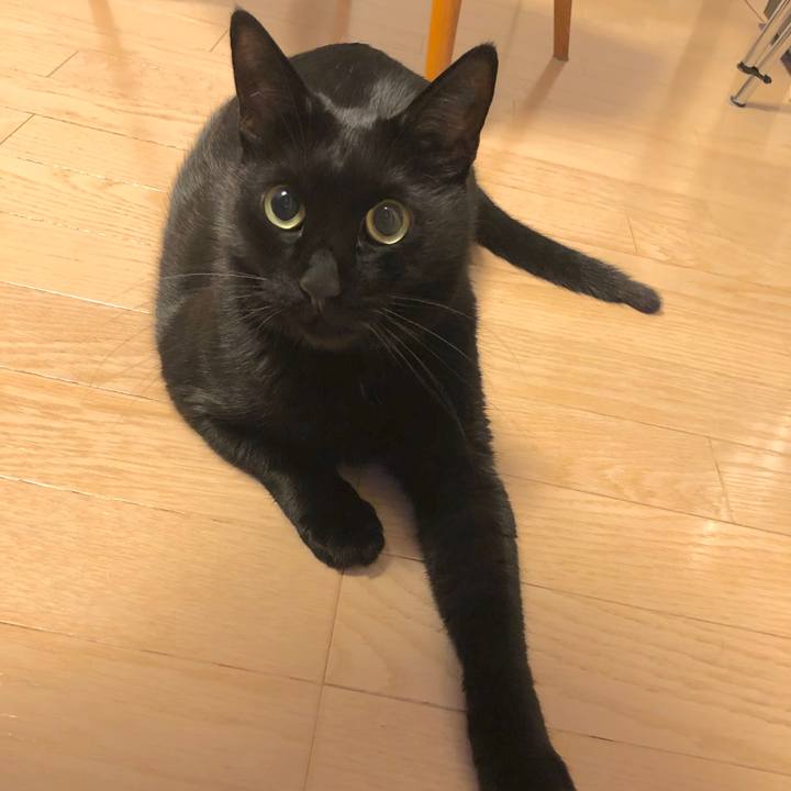 7d0a38d0 8f24 4162 956f 7bb28c3bb9b7 1544097691318