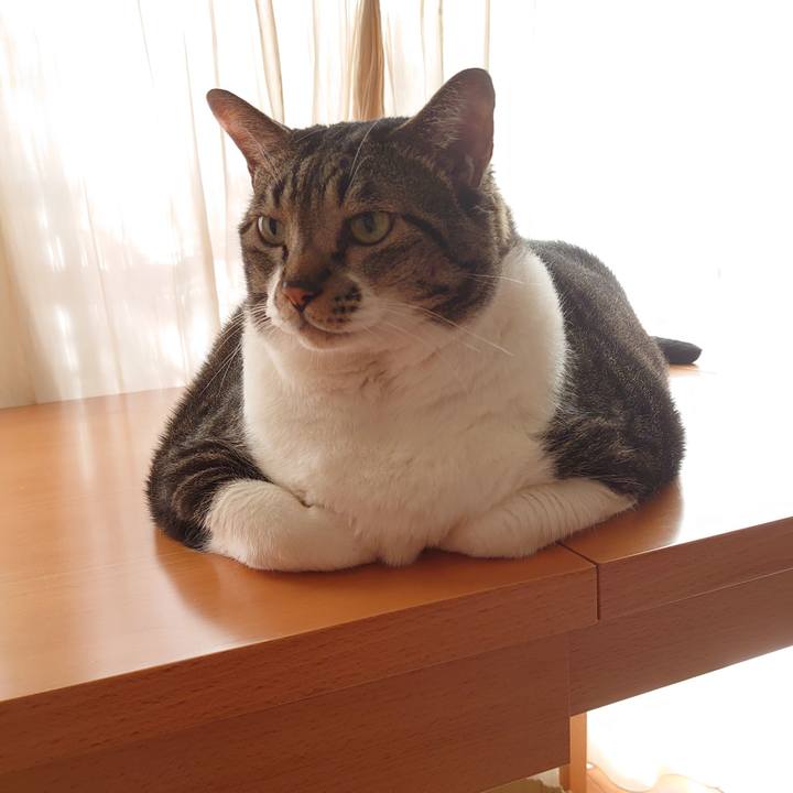 7d0a3bc0 5ffc 4ed3 8bcf 7e18cc4735ba 1599525789294