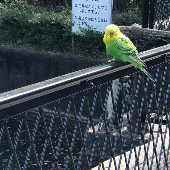 7d0a525f 32e8 471f ace4 f44f275a6ad5 1523494050071