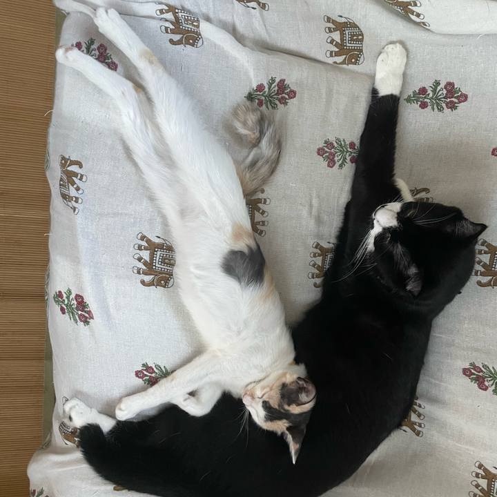 7d0a65e8 4d8b 4bf4 936e 5b4510b070d8 1663139614836